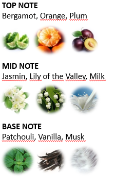 Parfüm Notaları